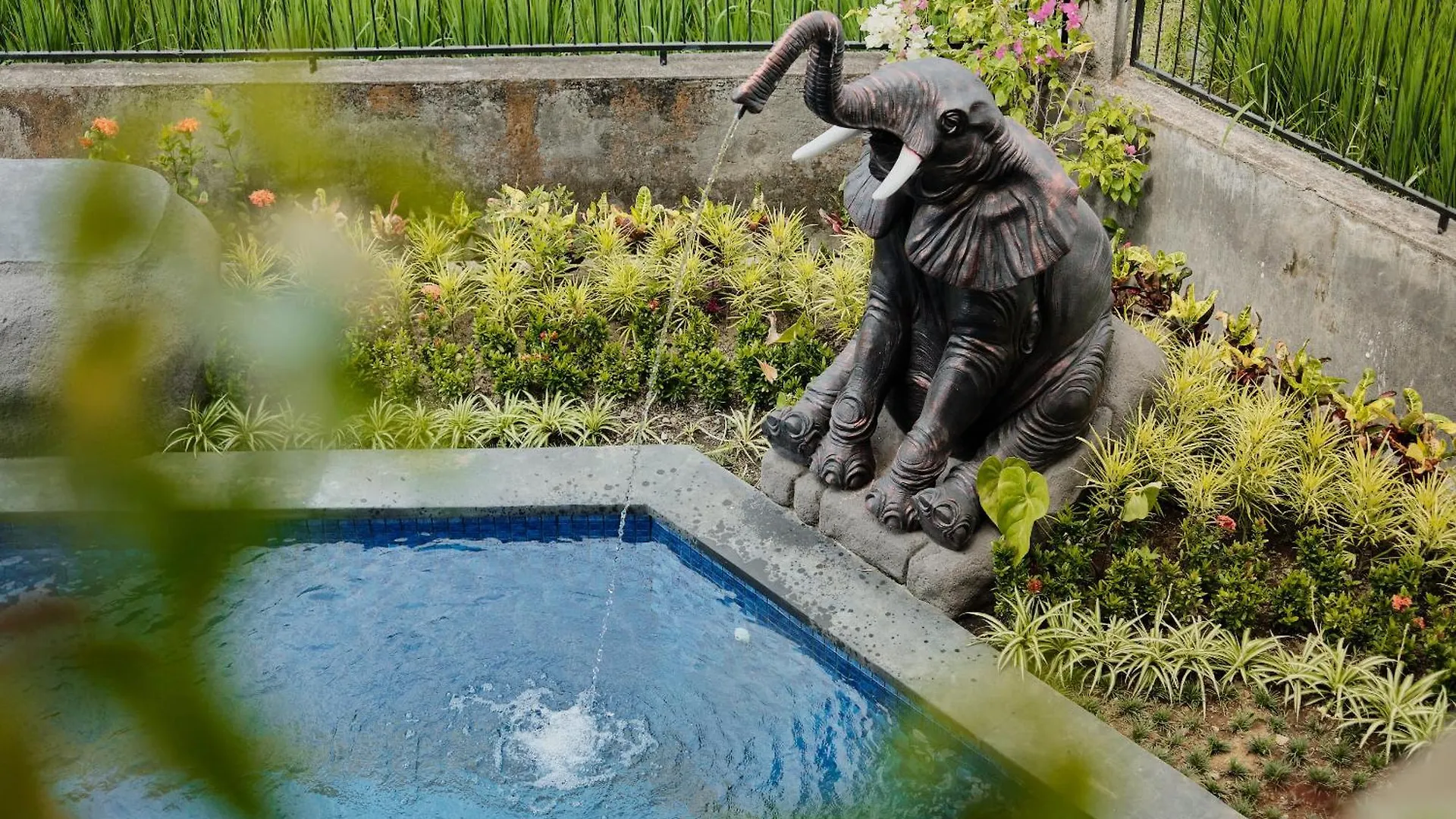 Gynandha Ubud Cottage Ubud (Bali)